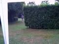 Arfons 2006 ( Riton  pluie ) Part.2