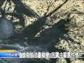2010-11-24公視晚間新聞(採花大盜丁雄泉北美館展遺作)