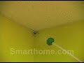 Spider and Insect Catch and Release Tool