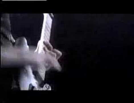 Great White
