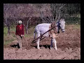 tucanes de tijuana   el agricultor narco corridos