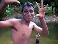 pavin