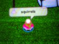 Club Penguin - Squirrels , Squirrels , Squirrels