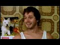 LA LECHE ES PARA EL GATO