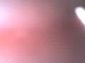 En el micro con ingles (2)