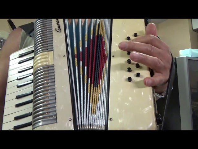 Camerano 12 bass piano accordion mod.270/73 1970-1980 cream marb in Amps & Pedals in Stratford