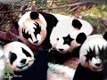 Funny animated Animals