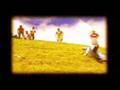 Ver Video