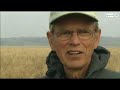 In Wisconsin: Bird Watching by 