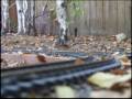 My New USA Trains G-scale ATSF EMD F-3A & F-3B My New USA Trains G-scale ATSF EMD F-3A & F-3B