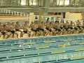 selwyn-college-nzl-haka.html