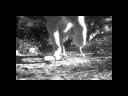 Haunted Halloween Moose Dog #2 Haunted Halloween Moose Dog #2