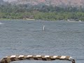 Boat at the lake
