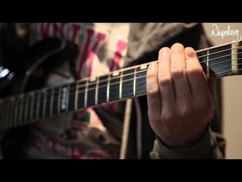 Napoleon - Brought Here To Suffer (Guitar Playthrough)