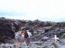 Island Walks Island Walks