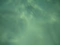 Sualt? Video Sualt? Video