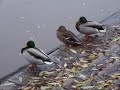 Örebro i höstrusket Örebro i höstrusket