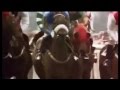 2013 Royal Ascot Coventry Stakes