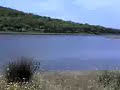 Extremadura, Spain fishing for big carp!