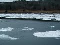buzzing-aroung-the-cape-cod-canal.html