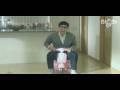 Ha Ha Ha Song - Yoon Jong Shin Ver.