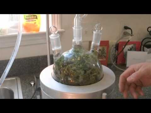 Oils - Kitchen chemistry from Jason - Steam distillation used to isolate essential oils from geranium. You can find the parts to do this on eBay. The essential oil ...