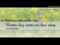Bướm bay vườn cải hoa vàng
