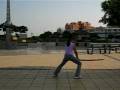 videos de Nicky, kenjutsu- Suburi no kata