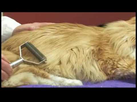 how to remove knots from cats fur