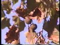 El Platano (Platanus sp.)