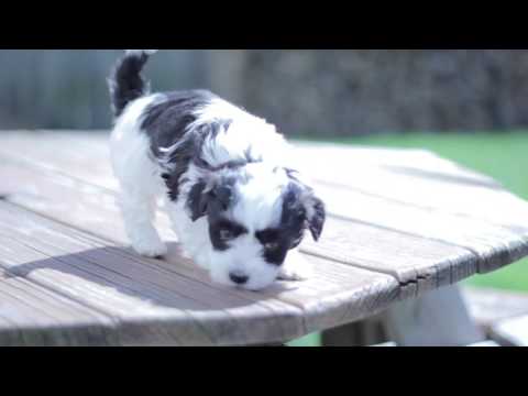 Meet Jack in his movie here!