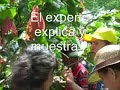 Desplazados en Colombia: Desarollo Rural Desplazados en Colombia: Desarollo Rural