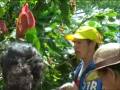Desplazados en Colombia: Desarollo Rural