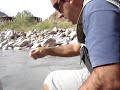 Pesca en Cacheuta
