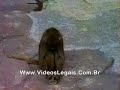 ��� ������