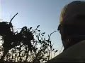 Ver vídeo