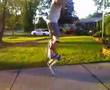 Jumping Stilts: day 3