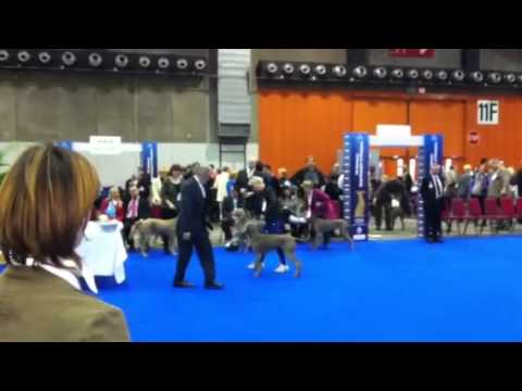 Olimpia dei GG - part 2