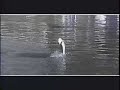 Bass Fishing with Chuck Woolery Bass Fishing with Chuck Woolery