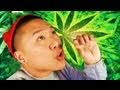 Dear DeLaGhetto #41 (Weed & Fatties)