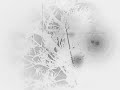 personal video
music : brian eno & peter schwalm
album: reigakusya