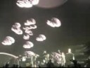 THE DARK SIDE OF THE MOON