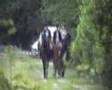 videos de Lits+Lauwers017 Mâlewei16