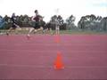 videos de 120m handicap. exciting finish!!