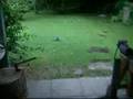 rainy day in july