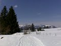 Allgäu Januar 09 nähe Kühberg