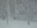 snowmobiling 06-07 season