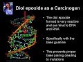Grilled Foods and Carcinogens Carcinogens