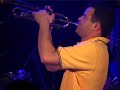 optimista (salsa live) - ocho y media (french salsa band)
orquesta salsera francesa
check my canal 