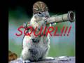 FUNNY CATS